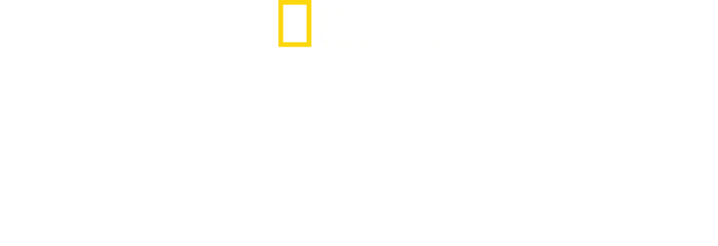 Elveszett városok nyomában Albert Linnel