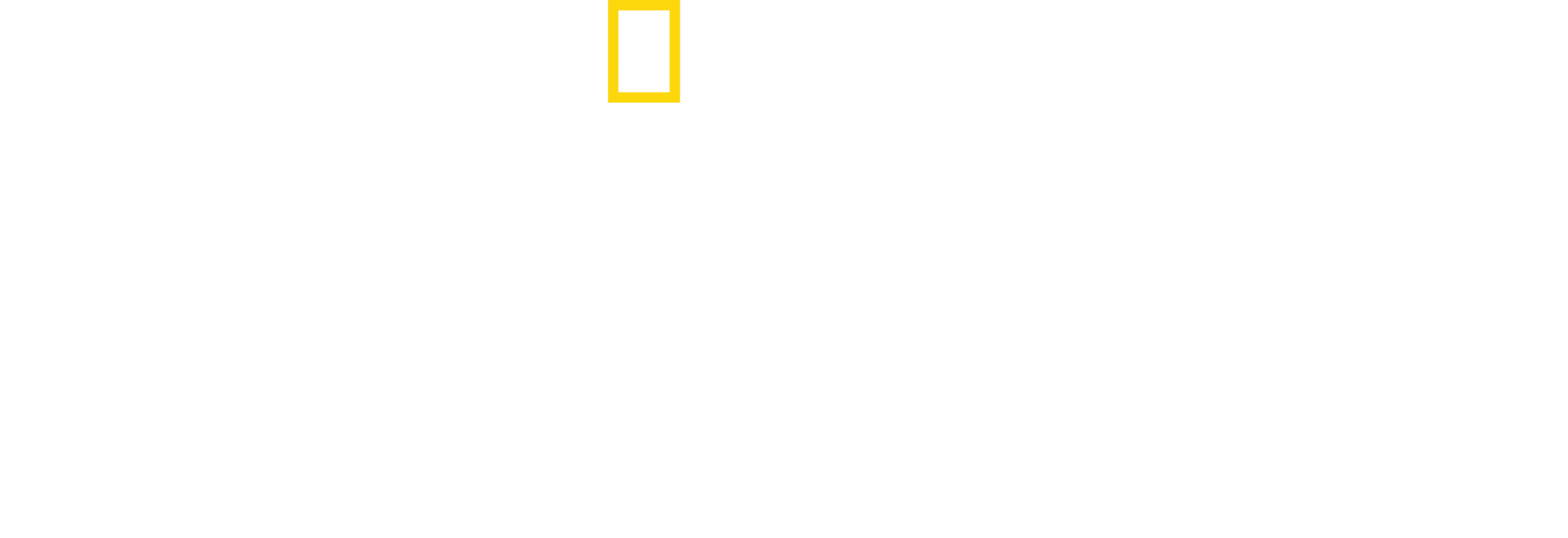 Elveszett városok nyomában Albert Linnel