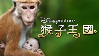 thumbnail - 猴子王國