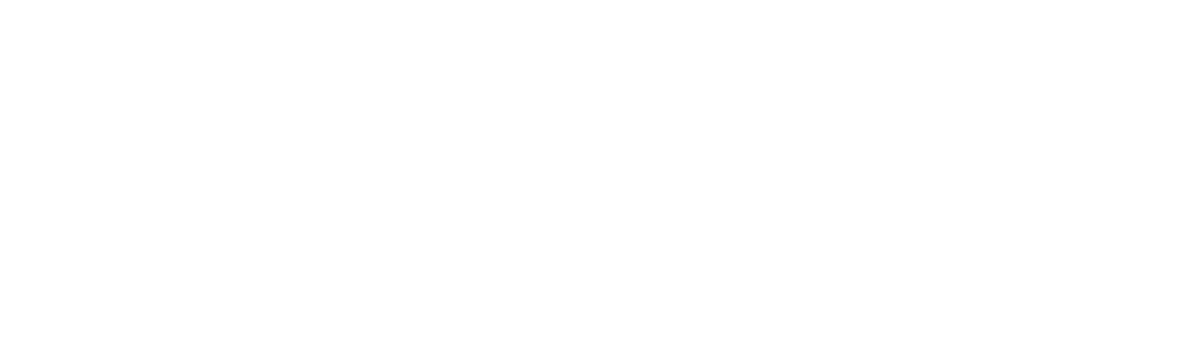征服者