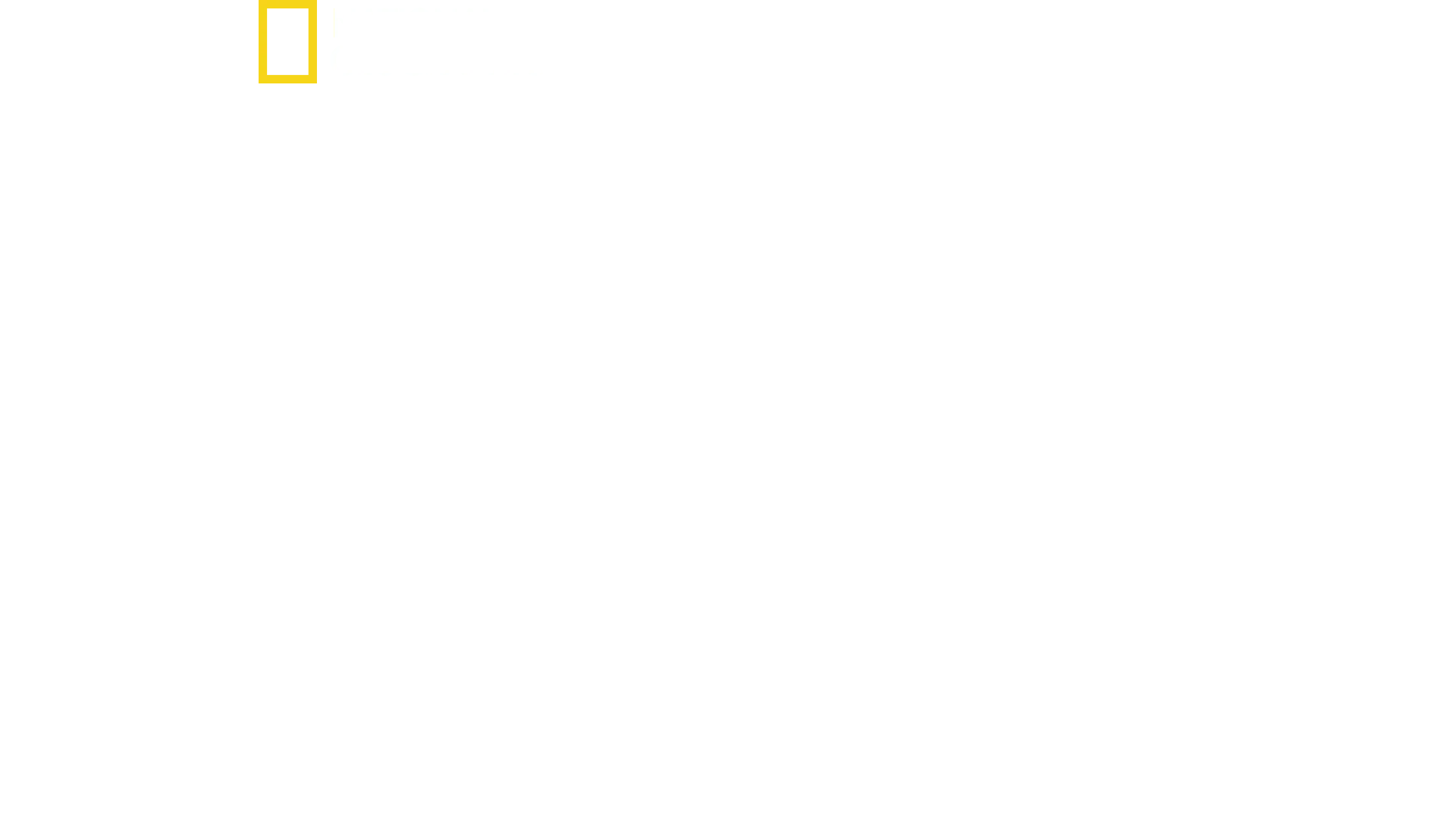På innsiden av SS: Veien til makten