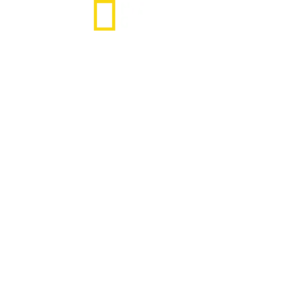 På innsiden av SS: Veien til makten