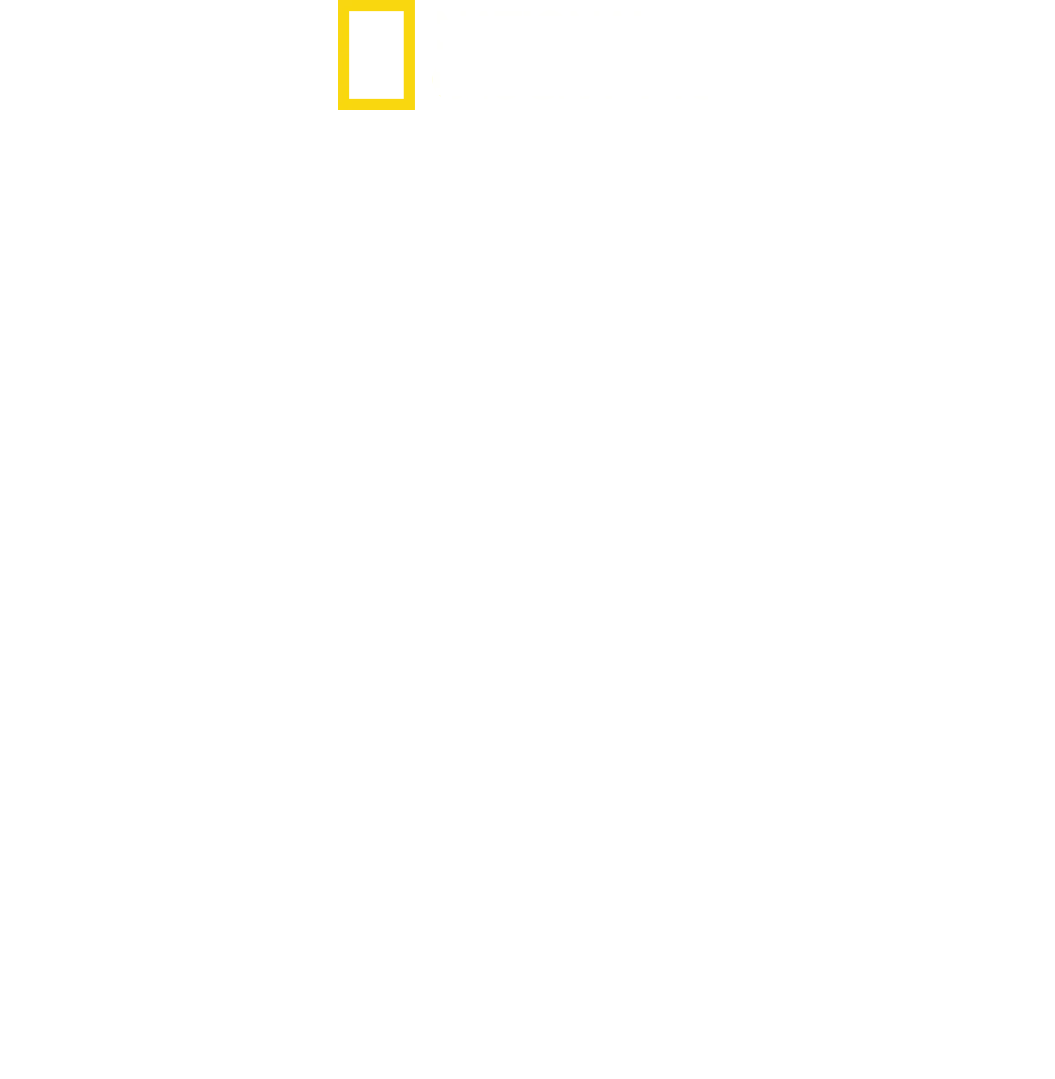 På innsiden av SS: Veien til makten