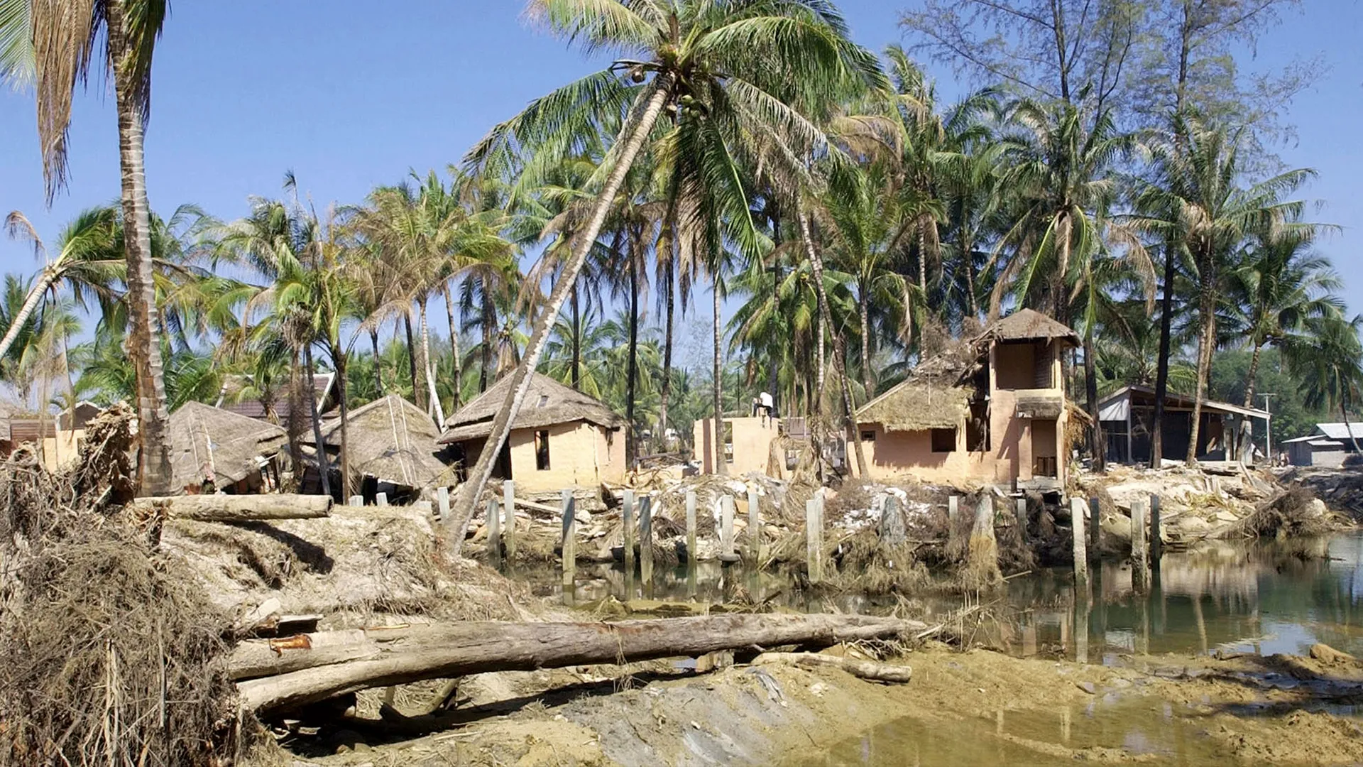 thumbnail - S1:E2 Thailand