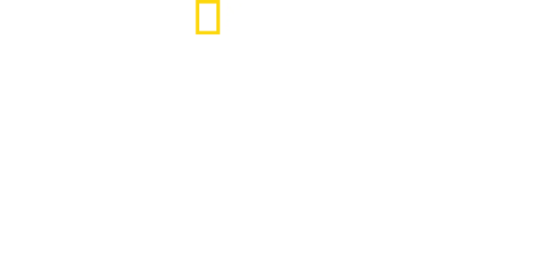 Krieg gegen Drogen