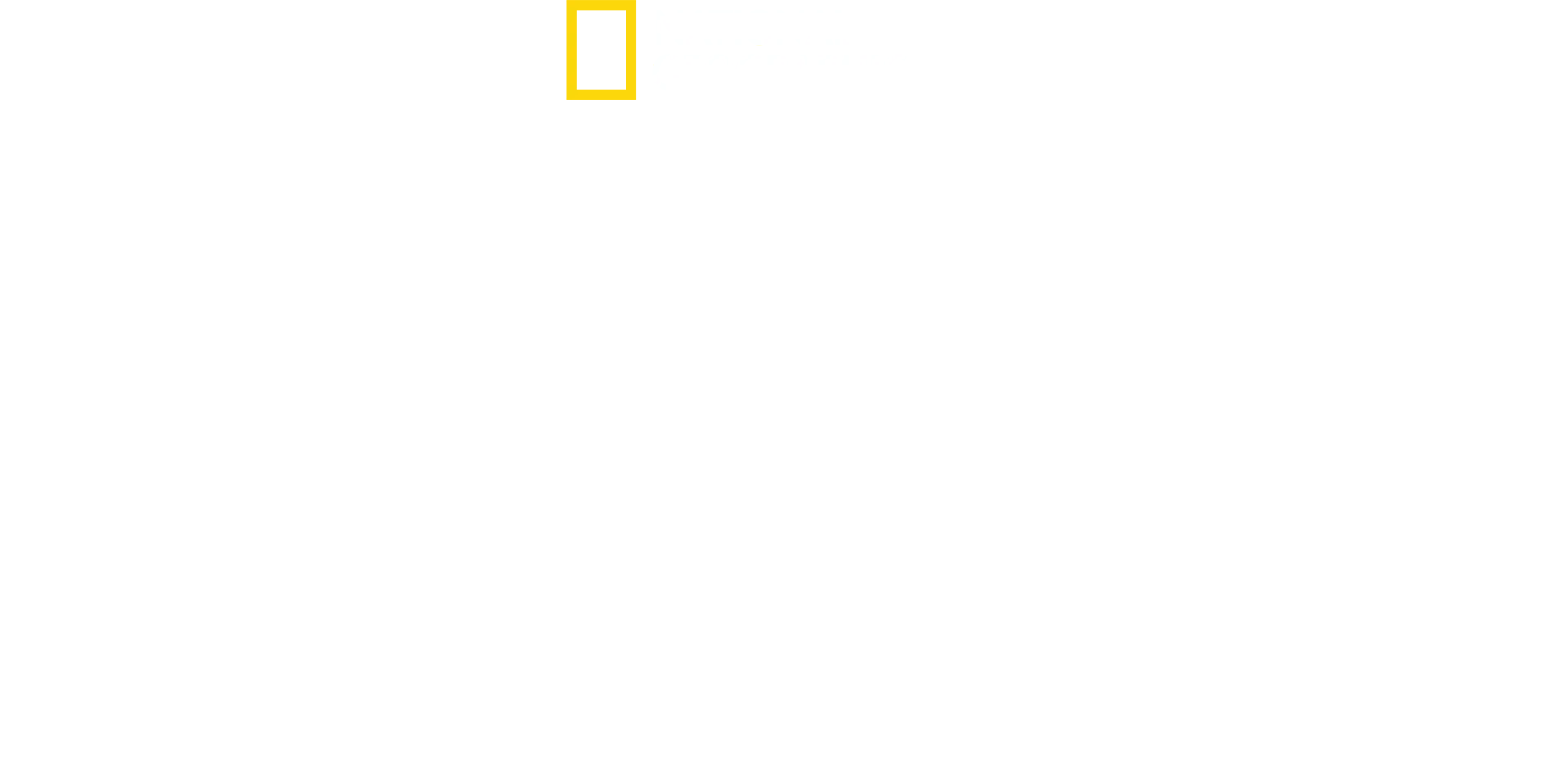 Krieg gegen Drogen