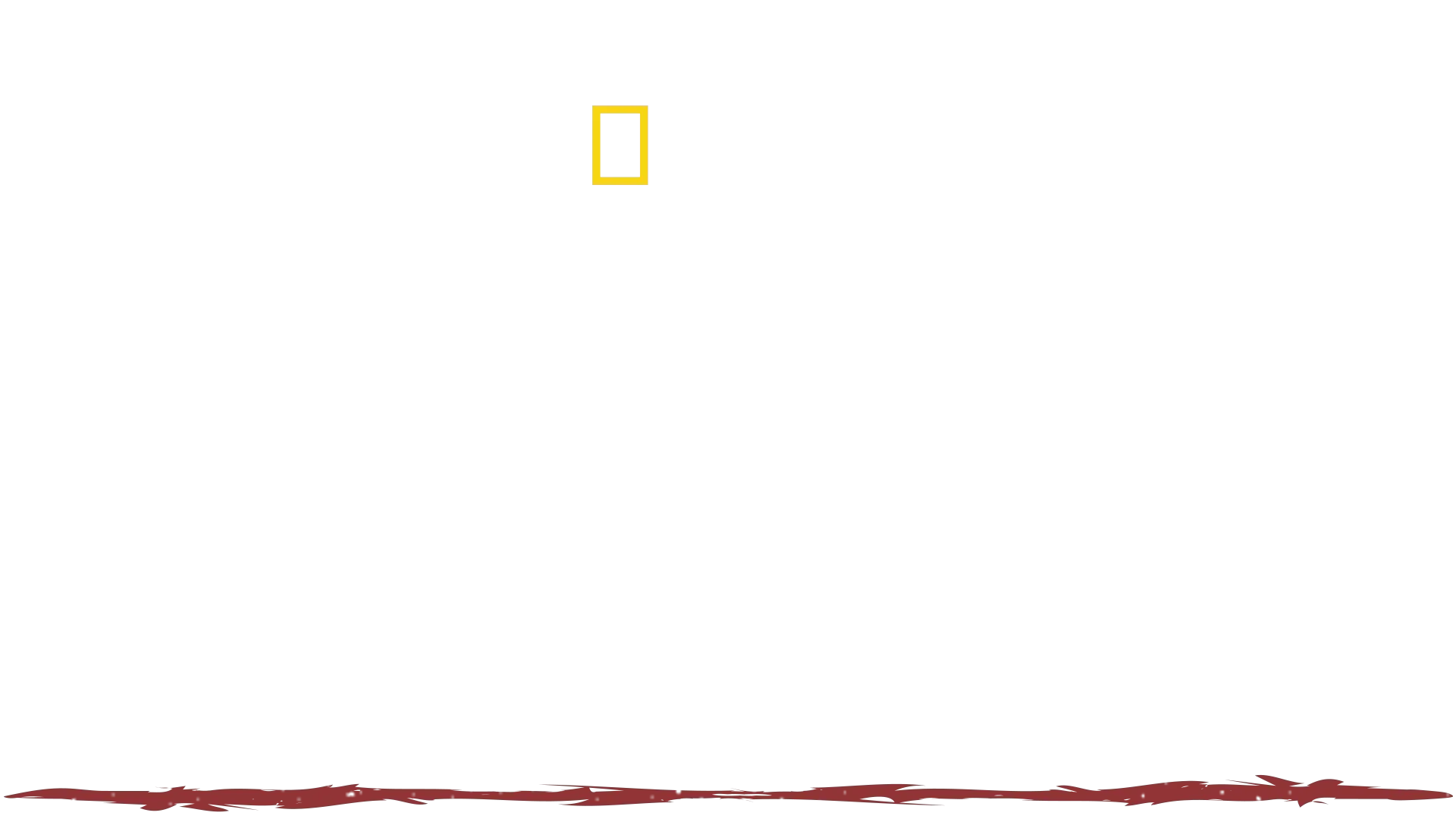Hazen Audel - den ultimata överlevaren