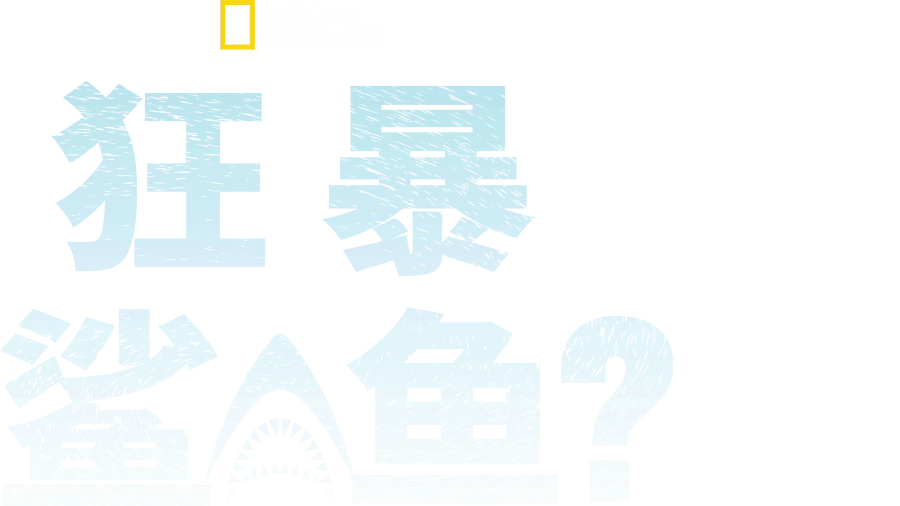 狂暴鲨鱼？