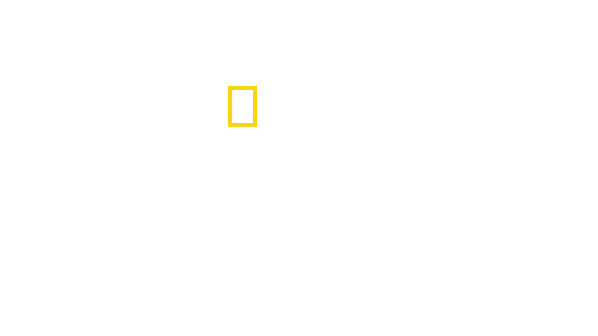 洞穴救援行動