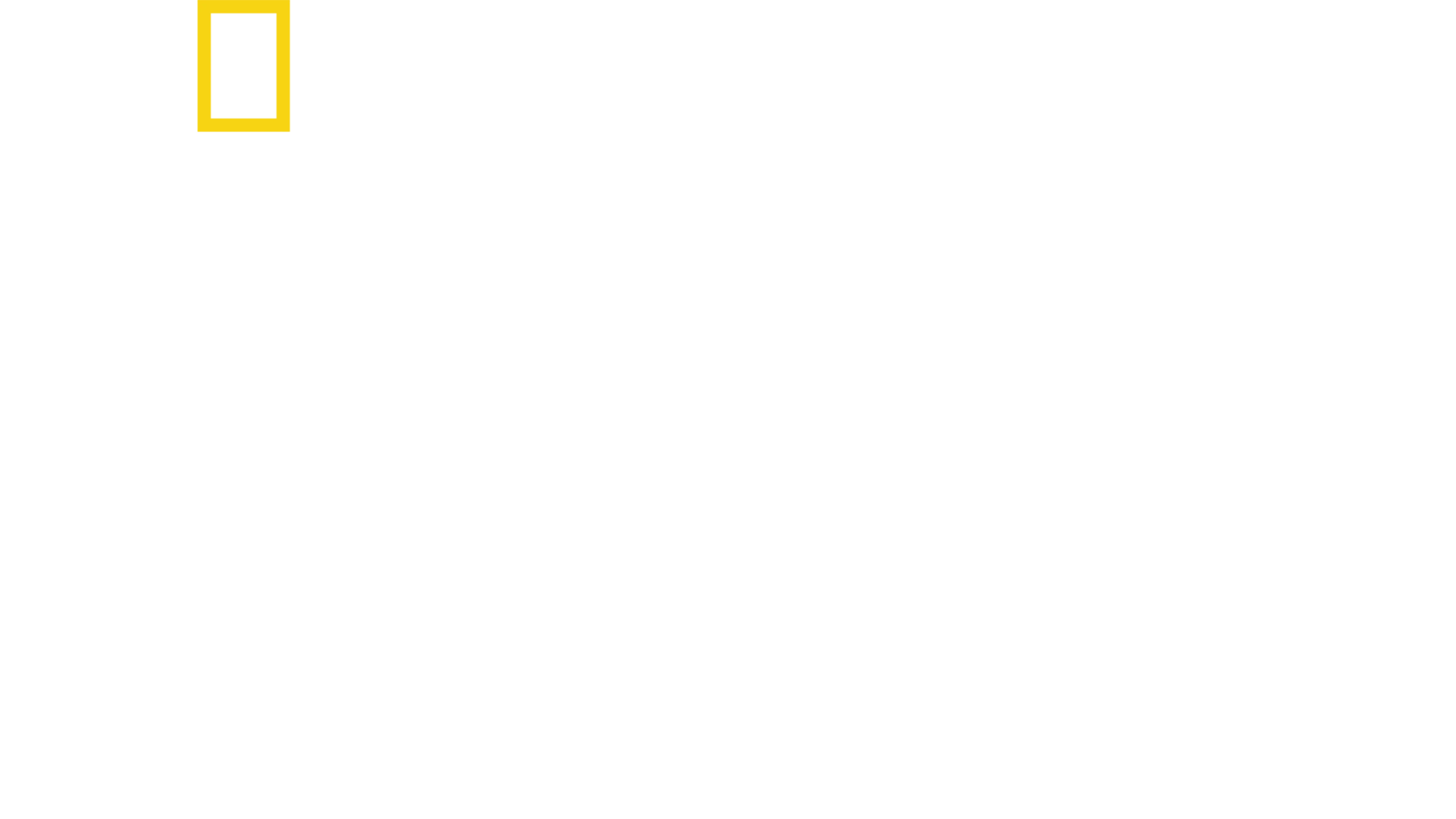Paradise : L'enfer des flammes