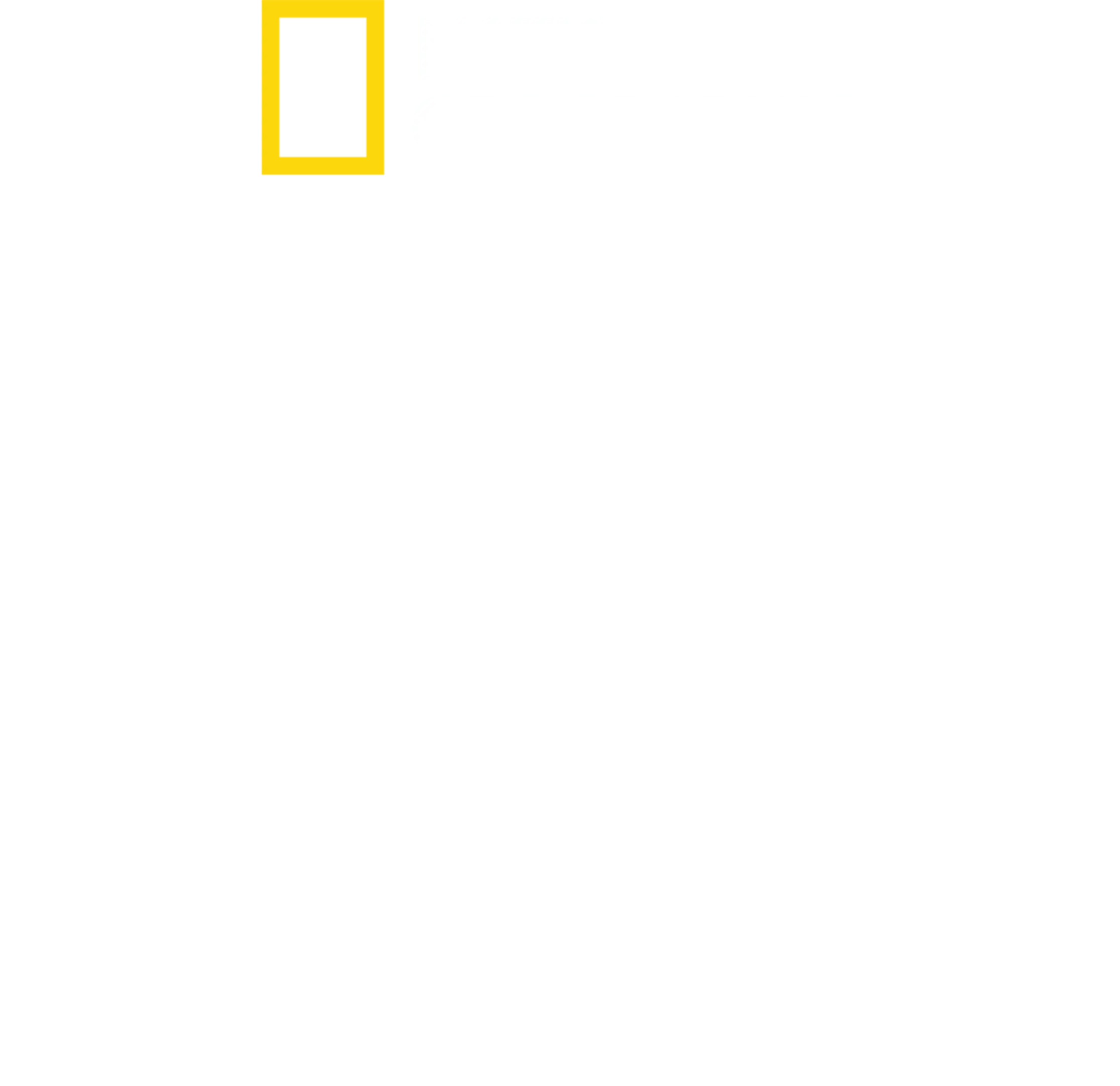 Paradise : L'enfer des flammes