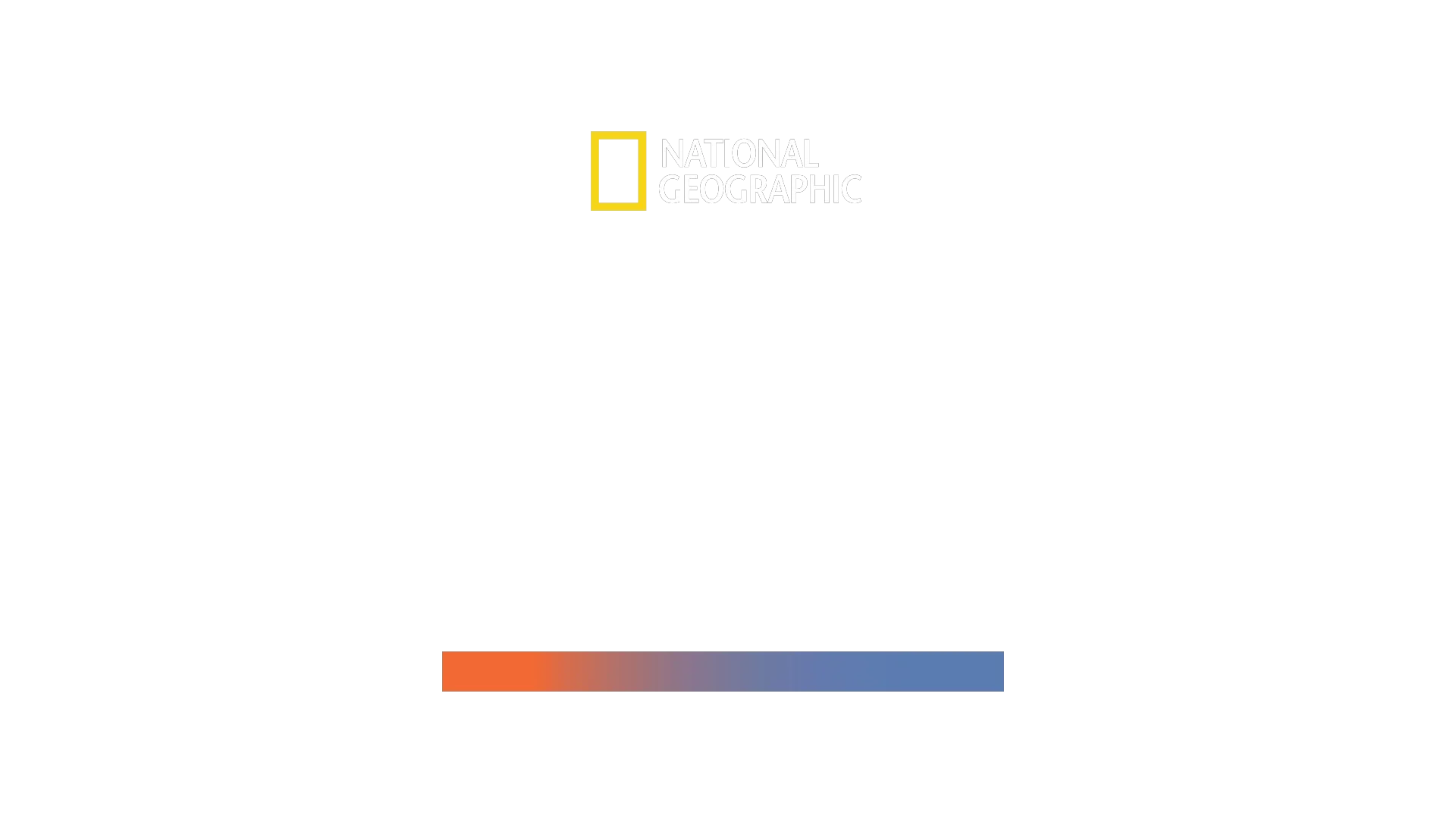 Hammerhai-monsteret