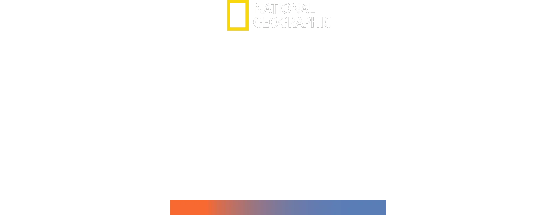 Hammerhai-monsteret