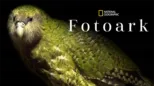 thumbnail - Fotoark