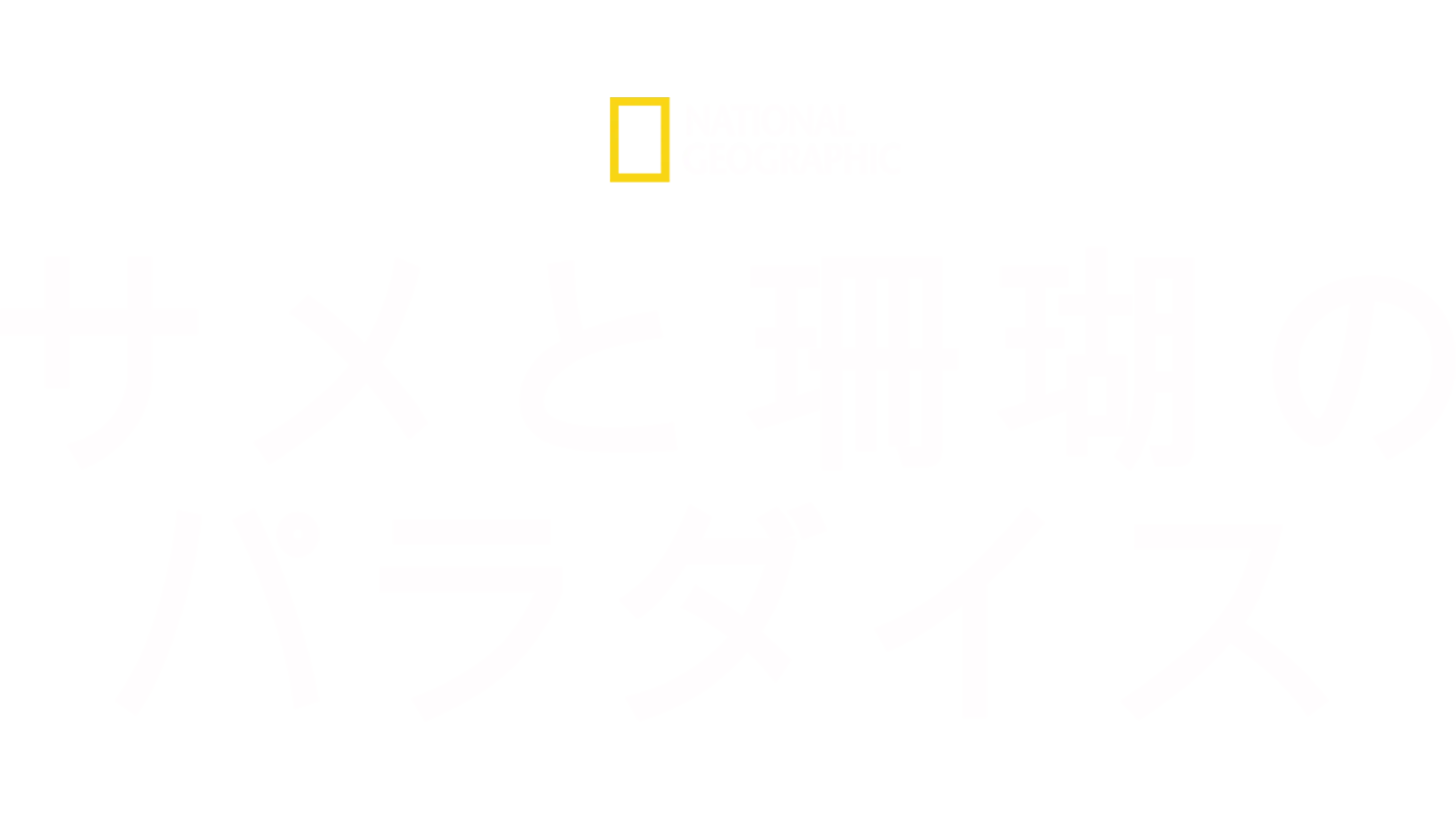 サメと珊瑚のパラダイス