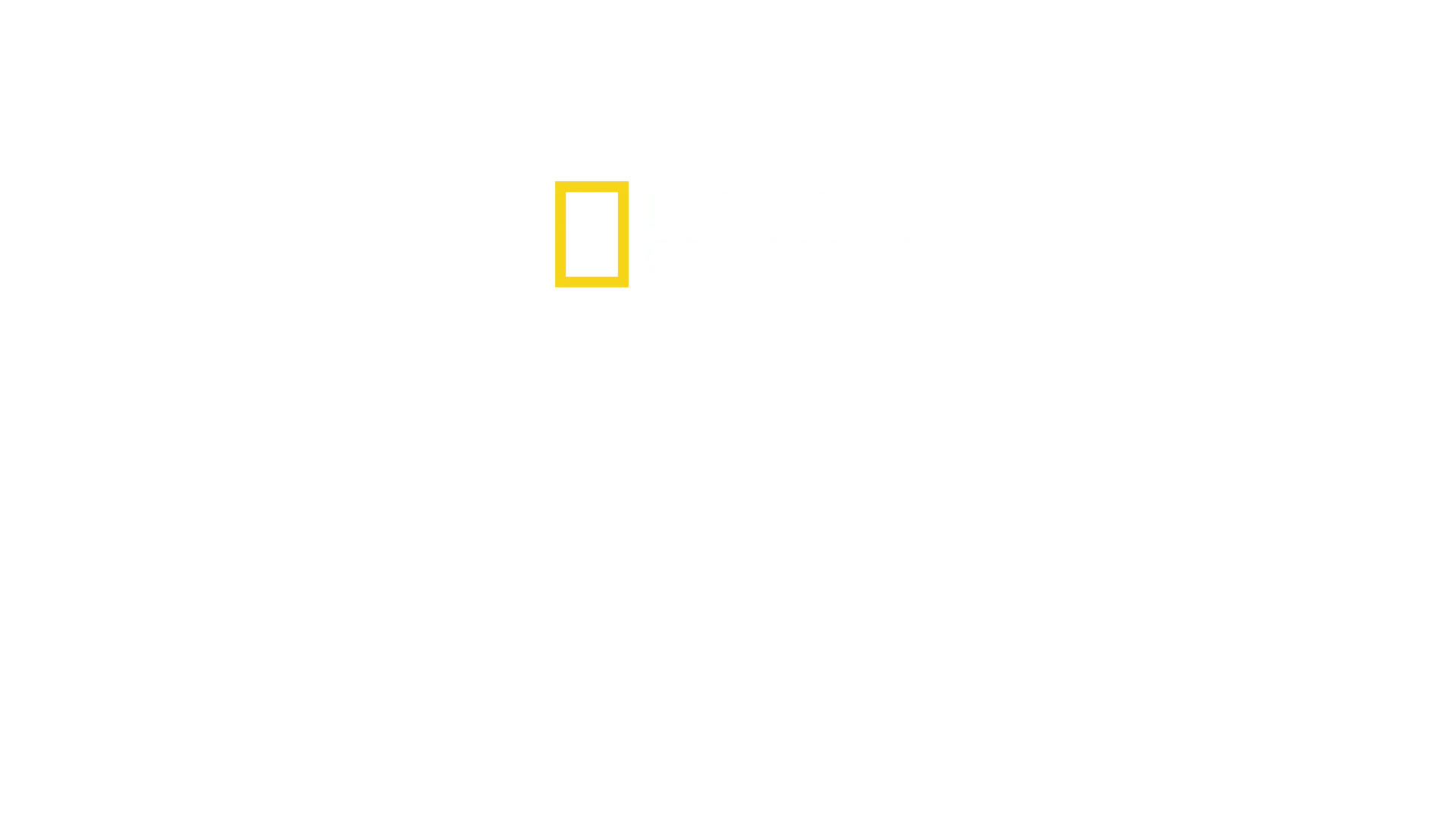 O Refúgio dos Chimpanzés