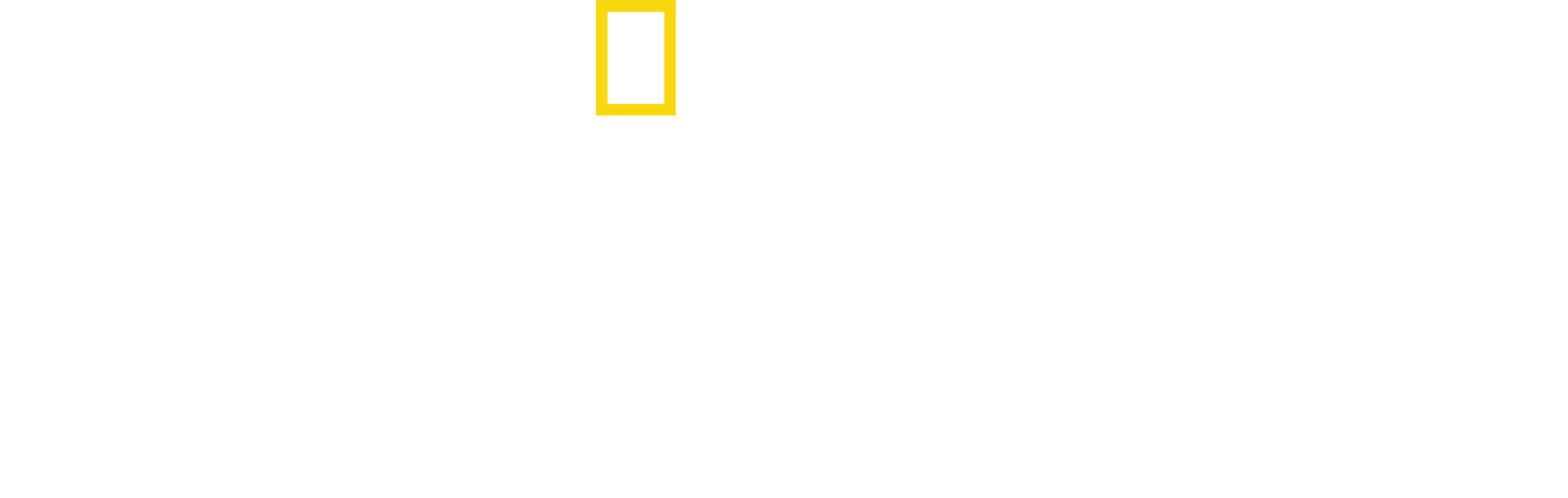 O Refúgio dos Chimpanzés