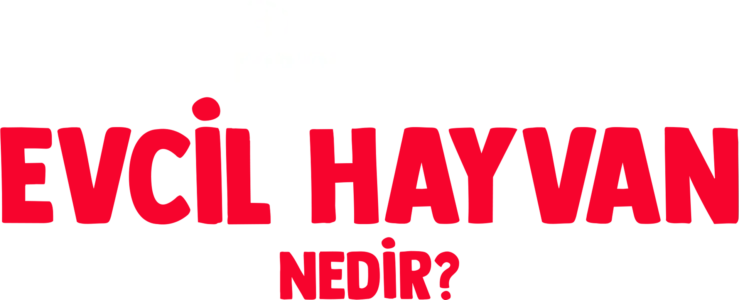 Forky Soruyor: Evcil Hayvan Nedir?