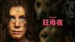 thumbnail - 狂母夜