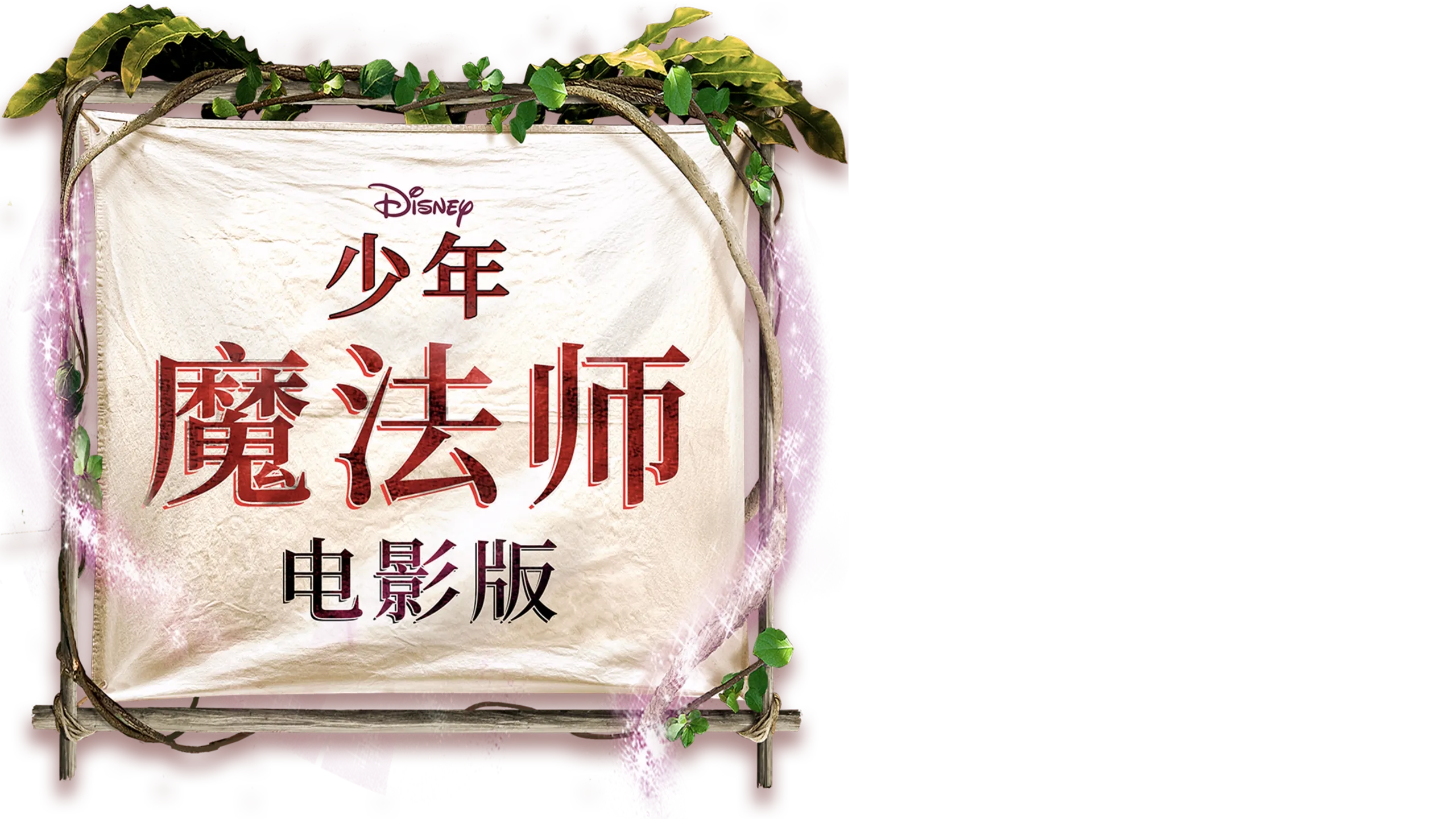 少年魔法师电影版