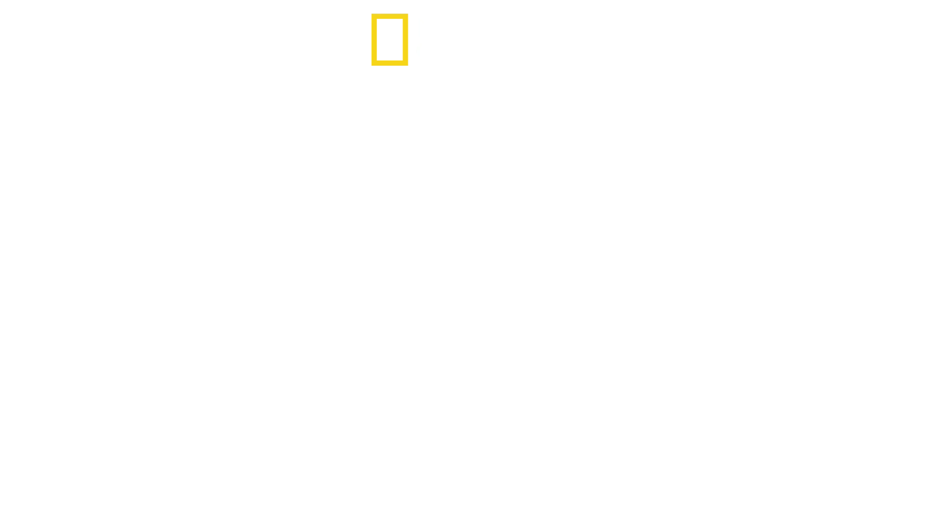 L'impero della droga