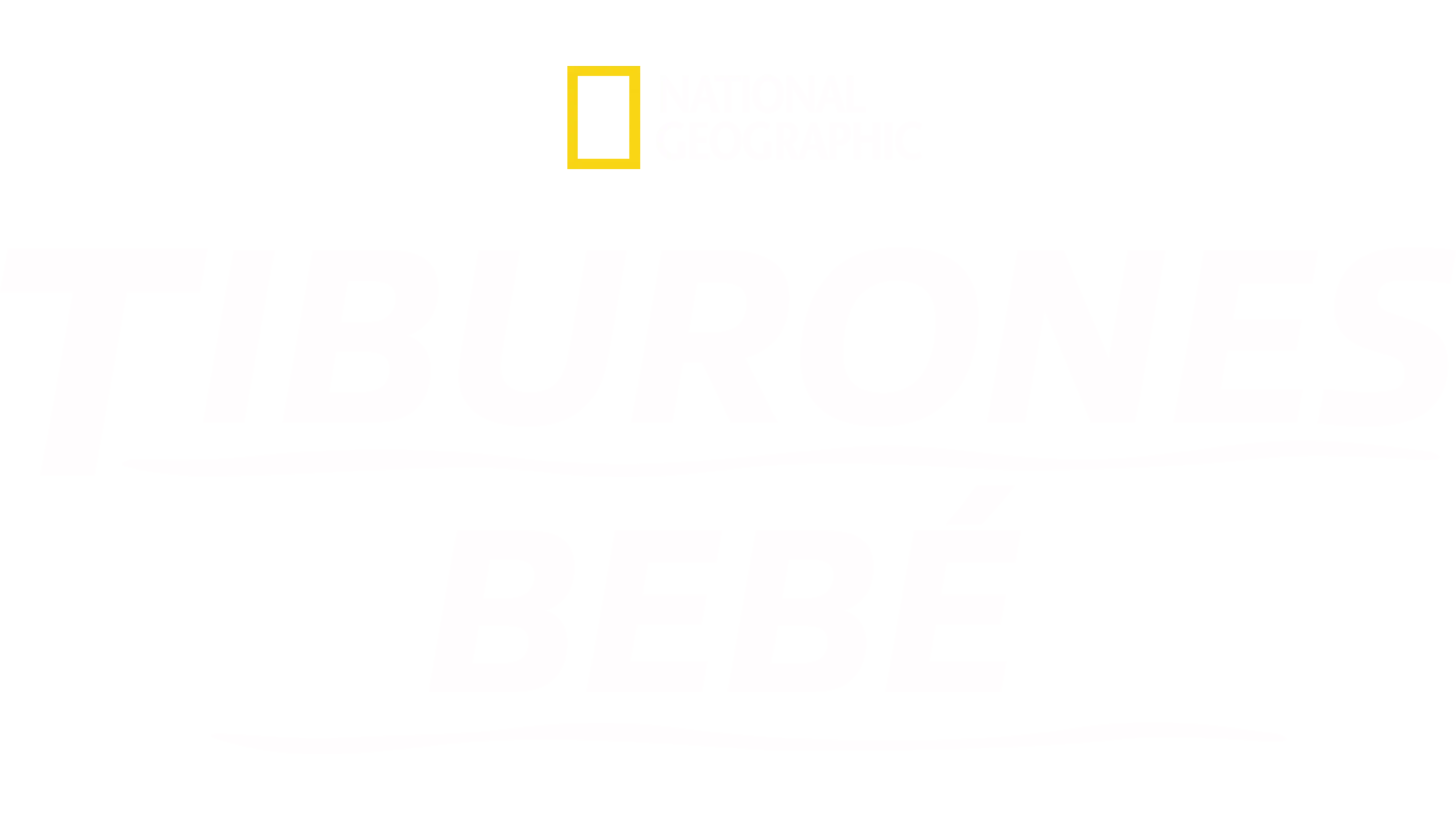 Tiburones bebé