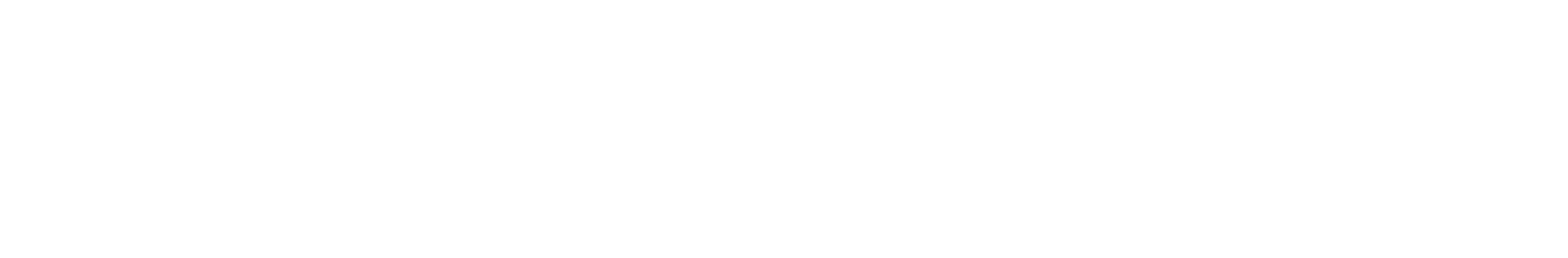 써로게이트