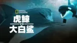 thumbnail - 虎鲸vs.大白鲨