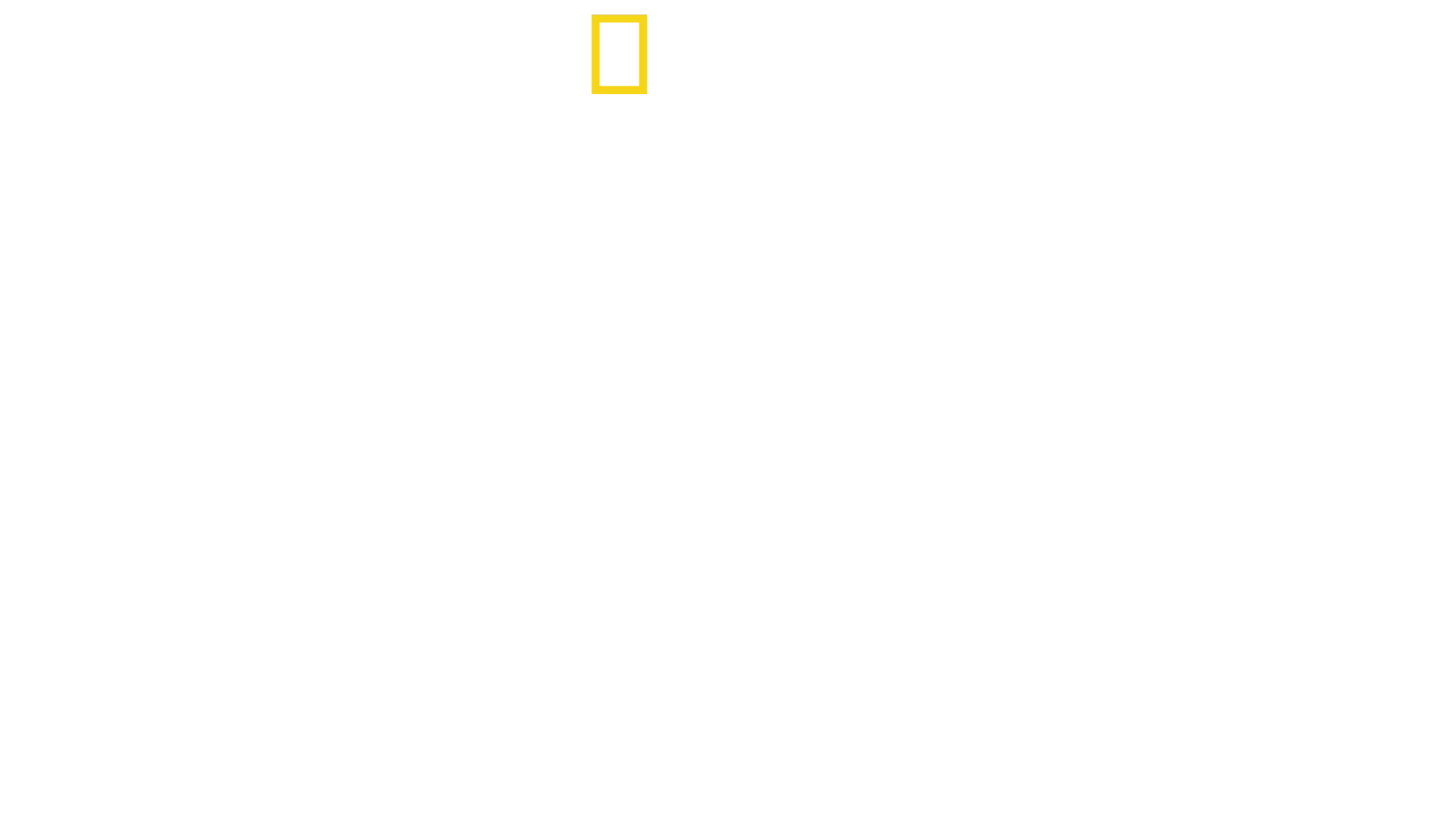 În Inima Disney's Animal Kingdom