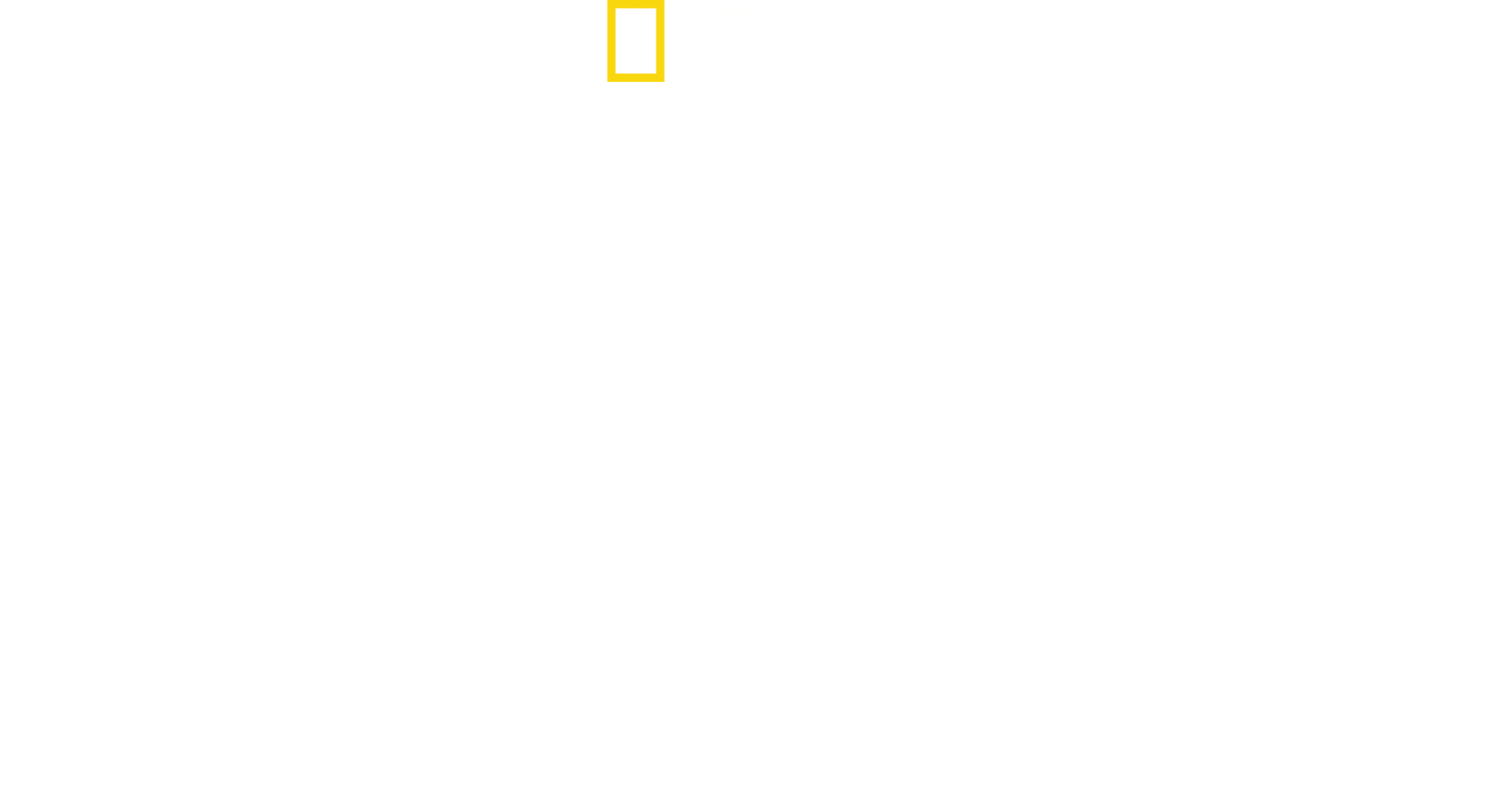 În Inima Disney's Animal Kingdom