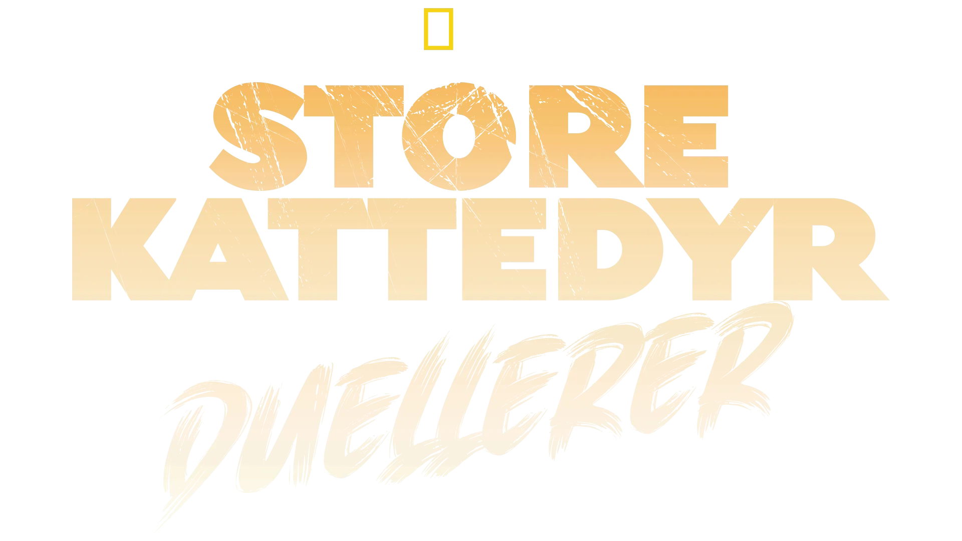 Store kattedyr duellerer