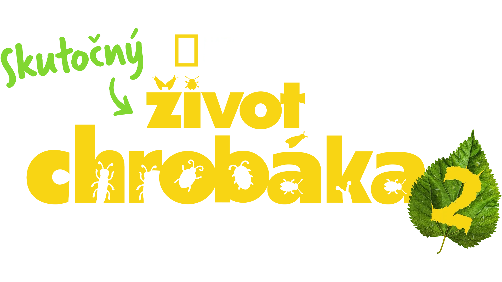 Skutočný život chrobáka