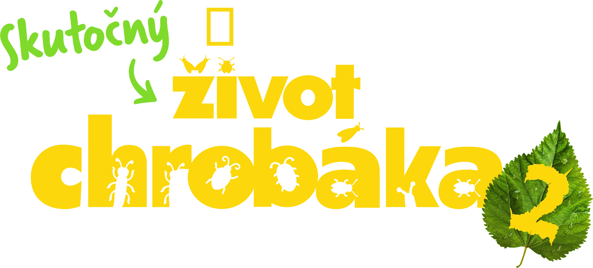 Skutočný život chrobáka