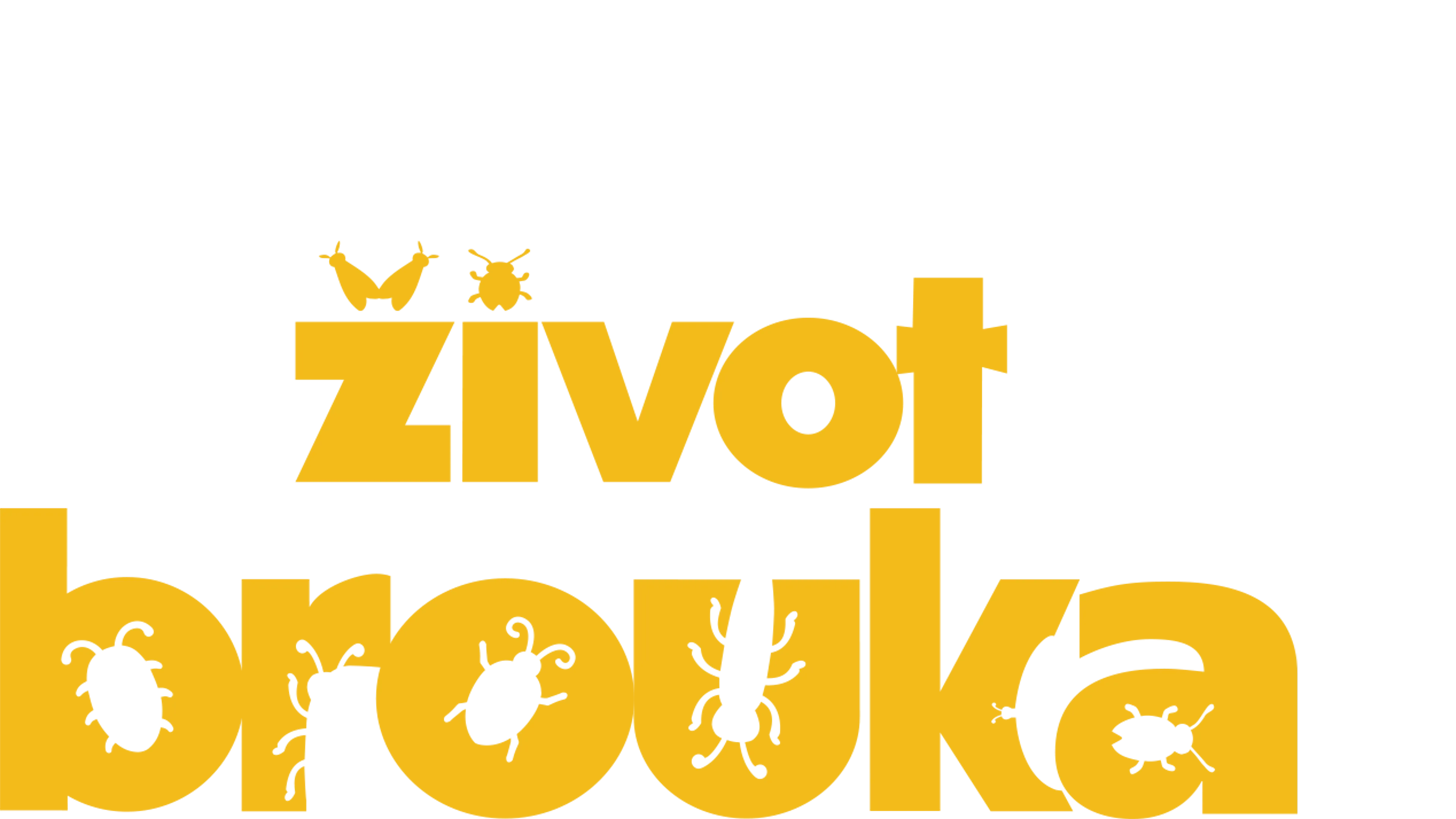 Život brouka