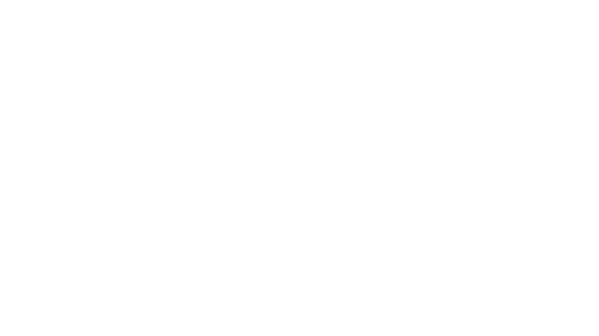 Die Whistleblowerin