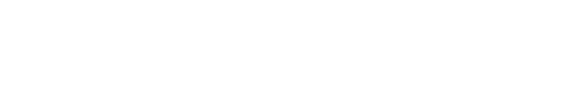 Die Whistleblowerin