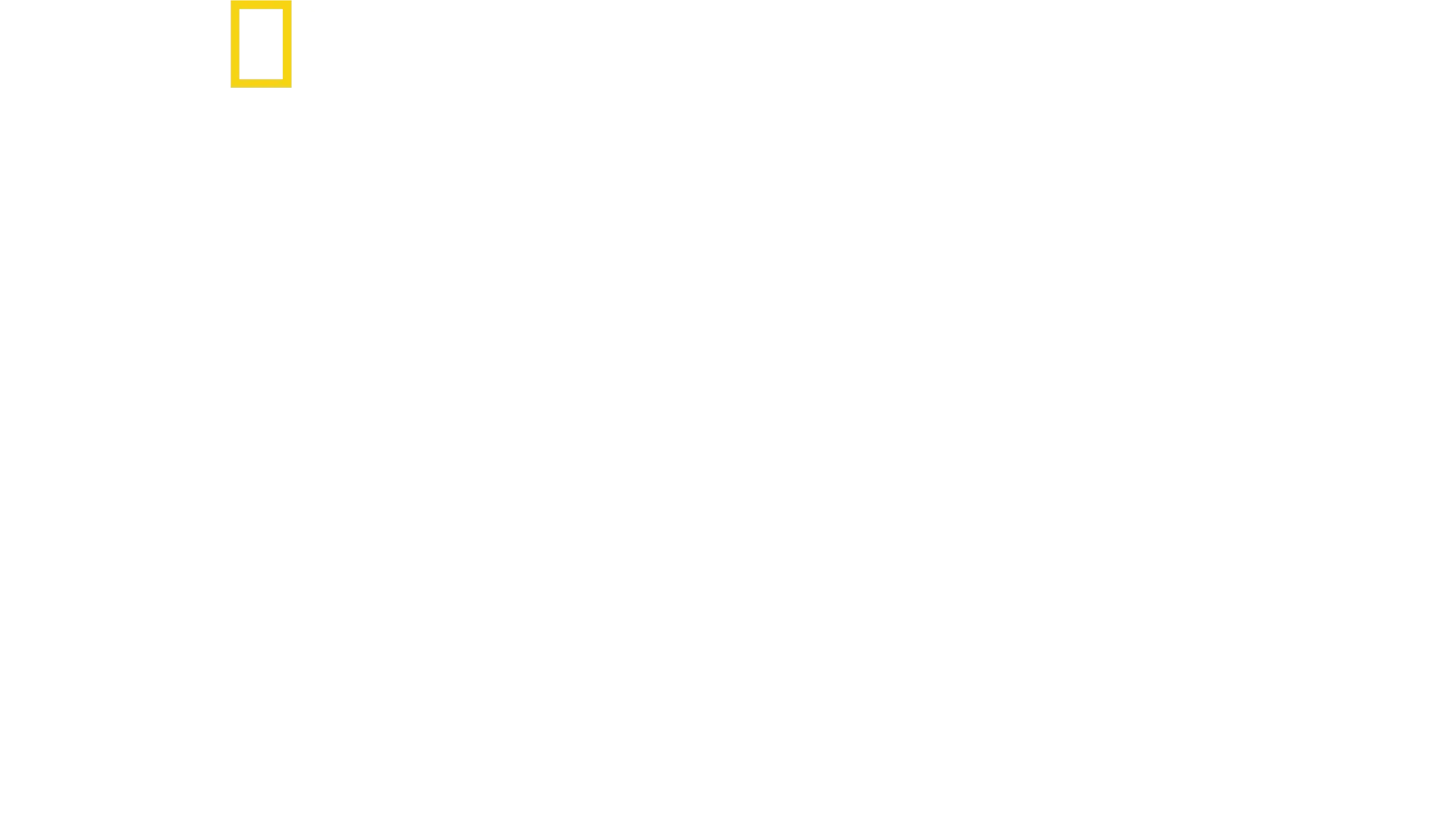 Stanley Tucci in Italien