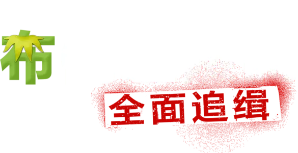 布偶歷險記：全面追緝