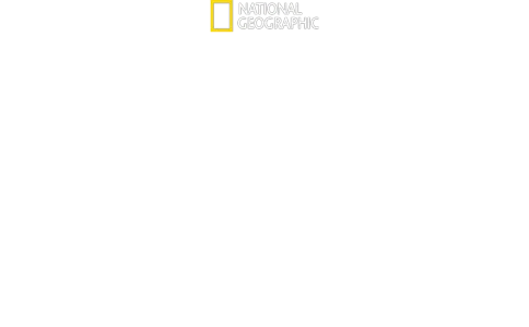 Most Wanted Sharks