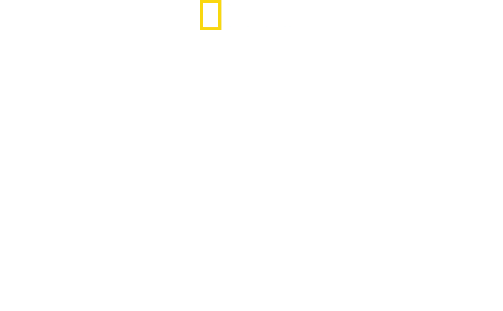 Most Wanted Sharks