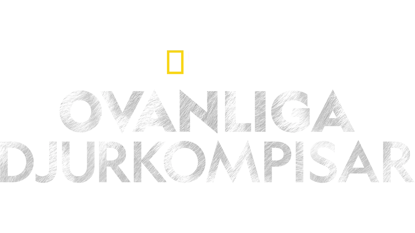 Ovanliga djurkompisar