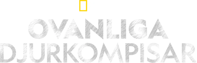 Ovanliga djurkompisar