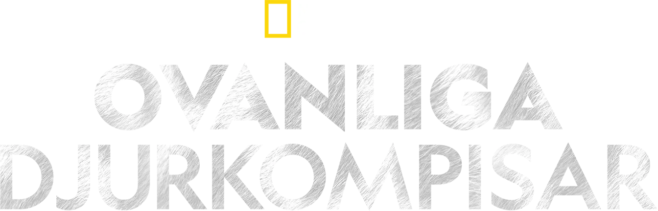 Ovanliga djurkompisar