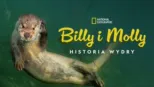 thumbnail - Billy i Molly: Historia wydry