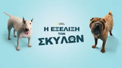 thumbnail - Η Εξέλιξη των Σκύλων