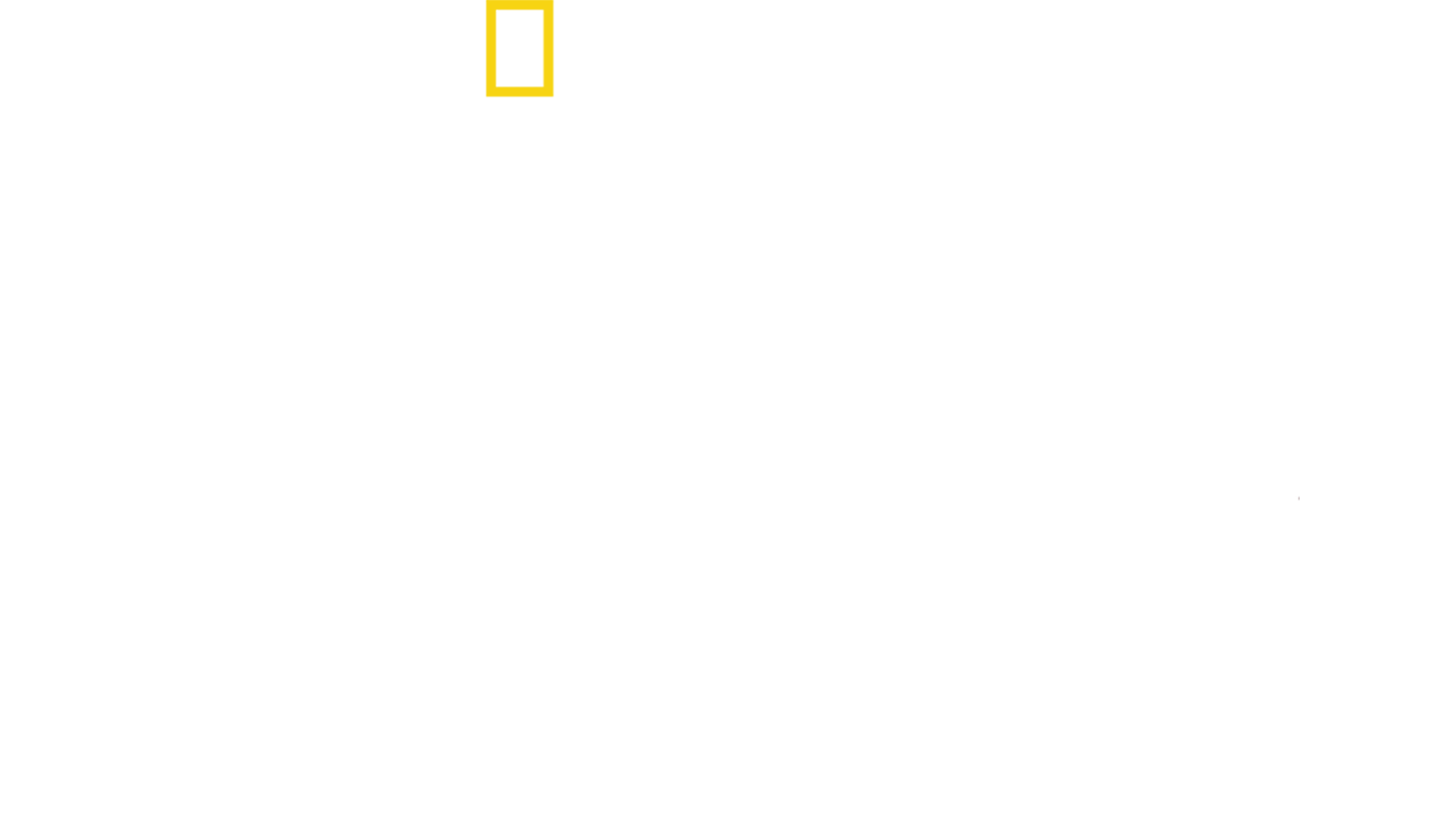 地狱厨神：异国寻味