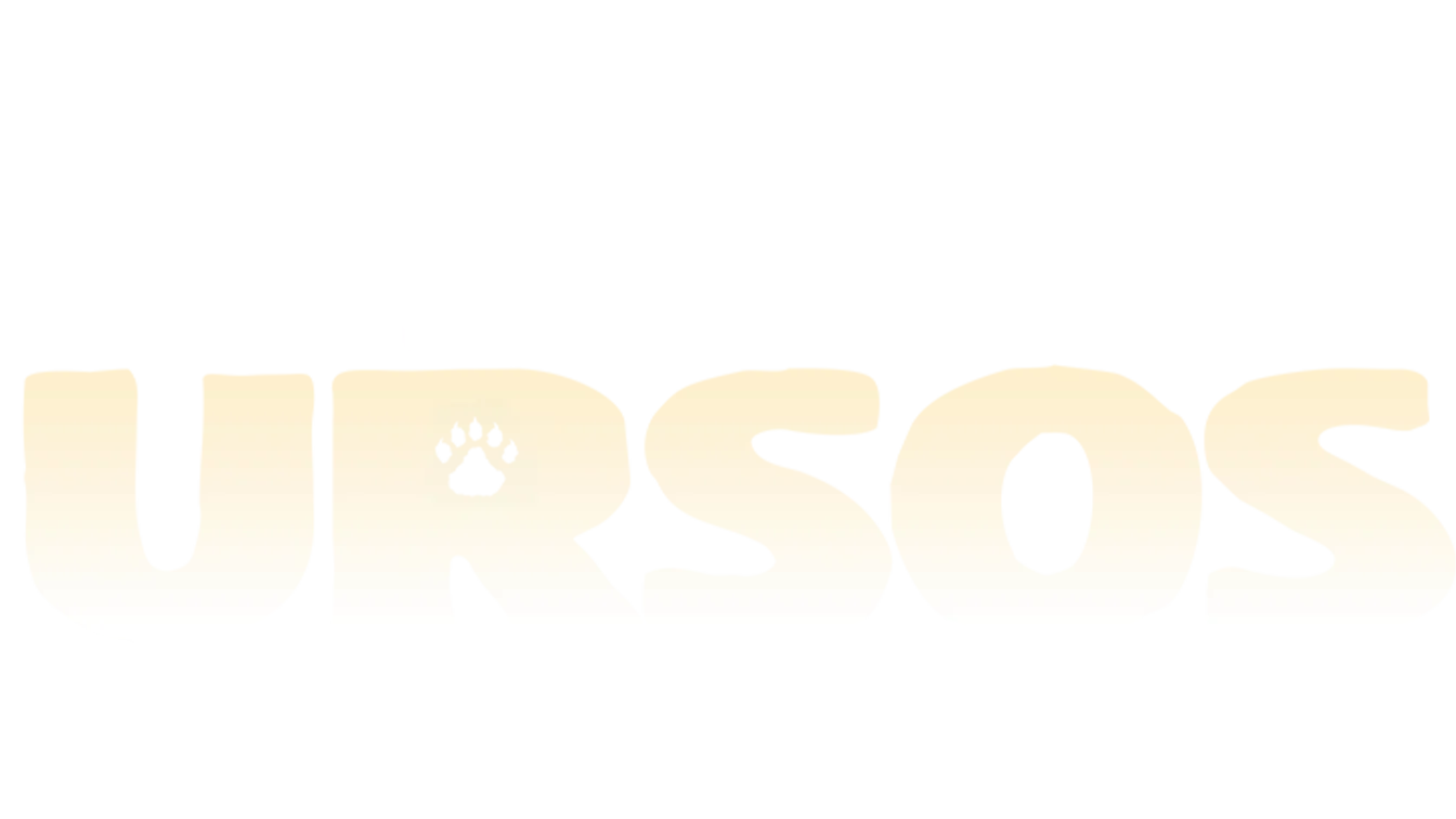 Ursos