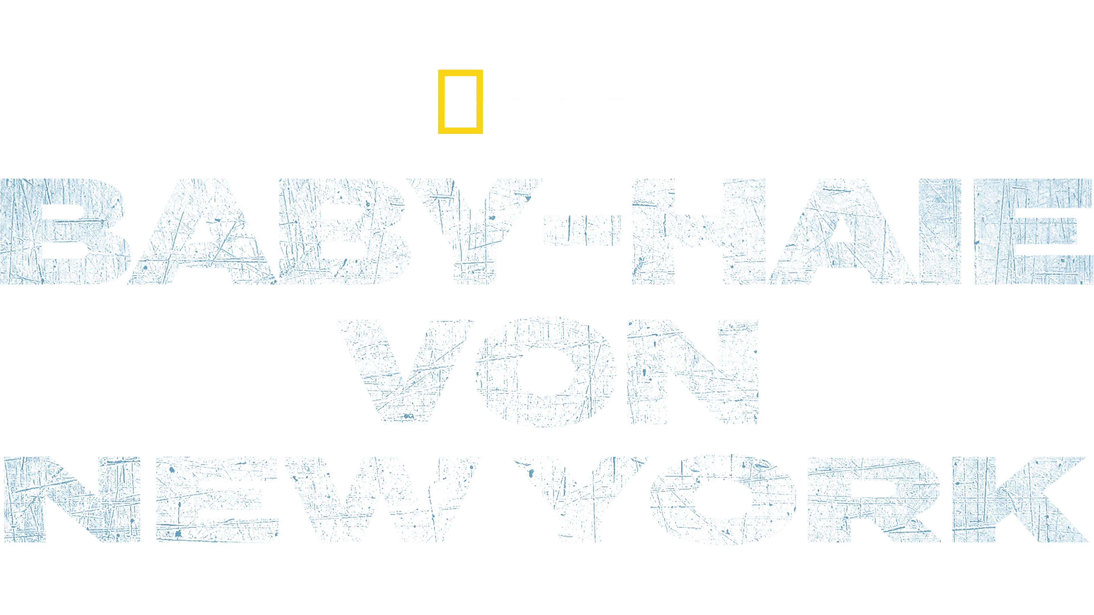 Baby-Haie vor New York