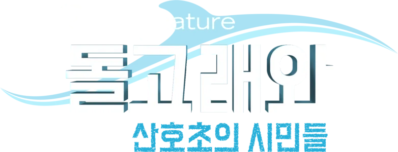 돌고래와 산호초의 시민들