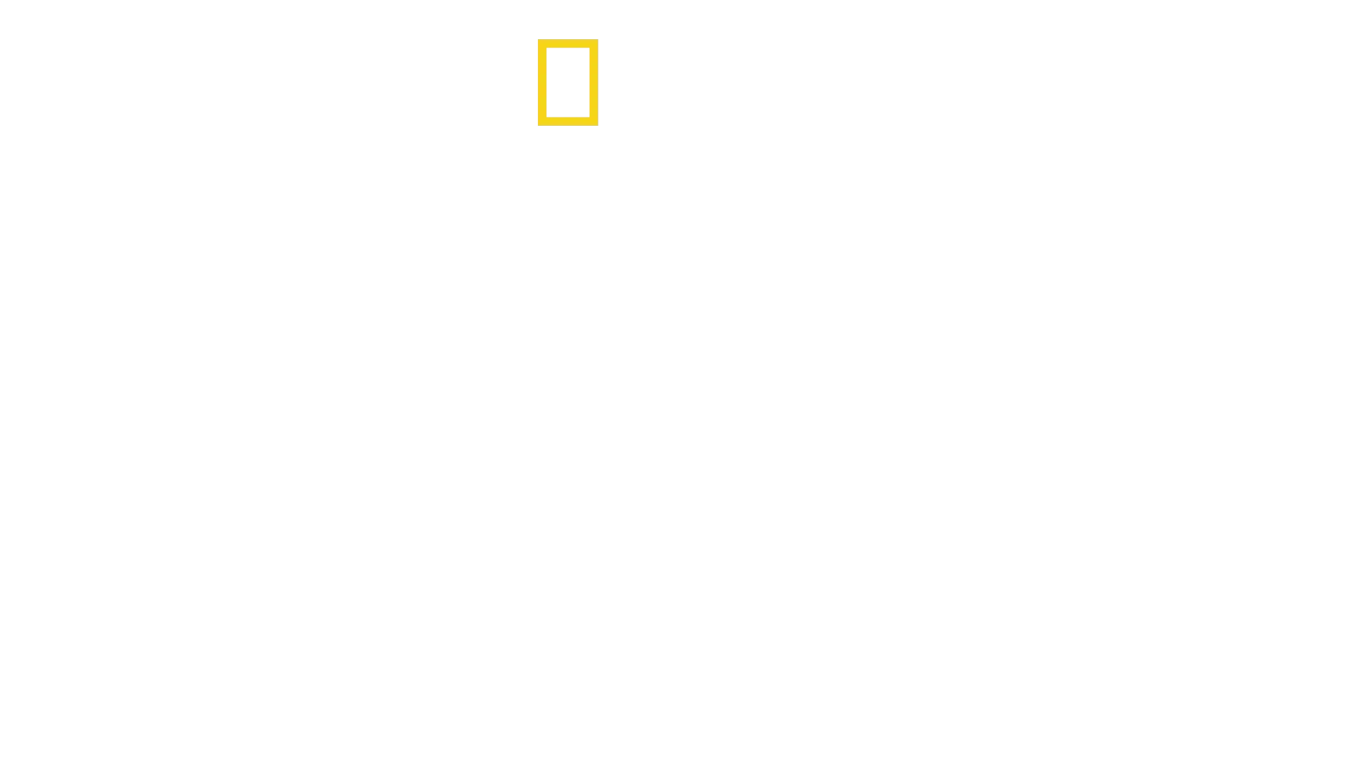 Vita da cucciolo